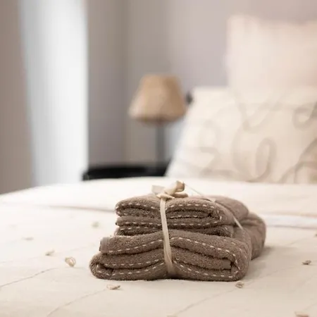 Luxueux Compans Caffarelli Climatiseur Parking Prive Gratuit Jardin Japonais 4 Personnes Apartmán